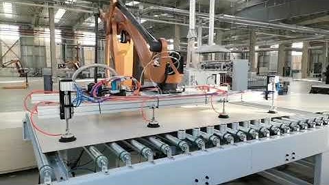 Richfruits loading unloading Robot with vaccum disc factory production automation