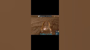 Lystrosaurus in 2021