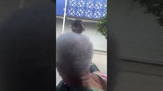 Man Struck by Flying Roofing Sheet in Rio Windstorm