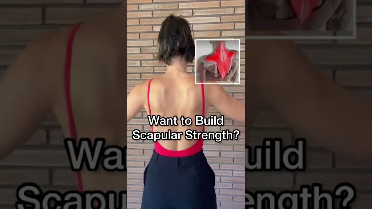  SCAPULAR STABILITY Increase Your Scapular Stability And Strength With These