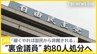 自民　裏金に関わった議員約80人処分する方向で調整も…一番重い「除名」には慎重な意見「安倍派や二階派から反発食らう」【news23】｜TBS NEWS DIG