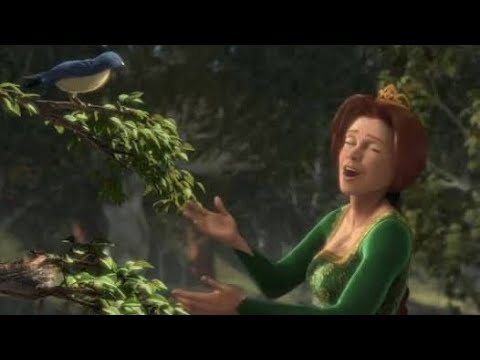 Shrek | Got That Fiona | Raisi K. (2026)