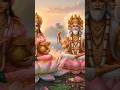 Lotus kitni sari jankari ya Aaj pata padi #lotus #flowers #short #video 🪷🪷