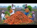 Carrot Halwa Recipe | Gajar Ka Halwa | Carrot Pudding Dessert