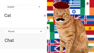 Cat different languages | Google Translate Memes