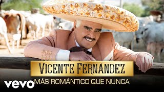 Video thumbnail of "Vicente Fernández - No Me Platiques Más (Cover Audio)"