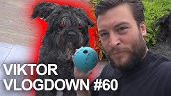 Verrassend! Marcel is een echt venijn! | VIKTOR VLOGDOWN #60