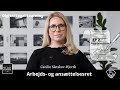 Episode 2 - Ansættelsesformer | Arbejdsret | Digital Legal Learning