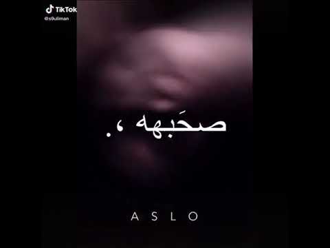 حاله واتس من مهرجان يا صحبه كلاب