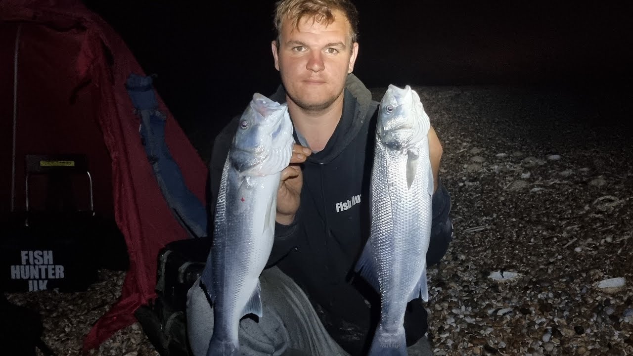 EPIC BASS NIGHT FISHING the best nights beach fishing I have ever had MUST WATCH 