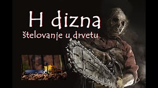 Štelovanje Karburatora Motorne Pile U Drvetu, H Dizna Vijak, Šaraf