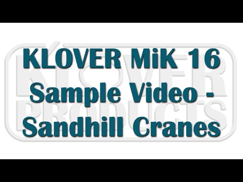 KM-16 Sample — Sandhill Cranes