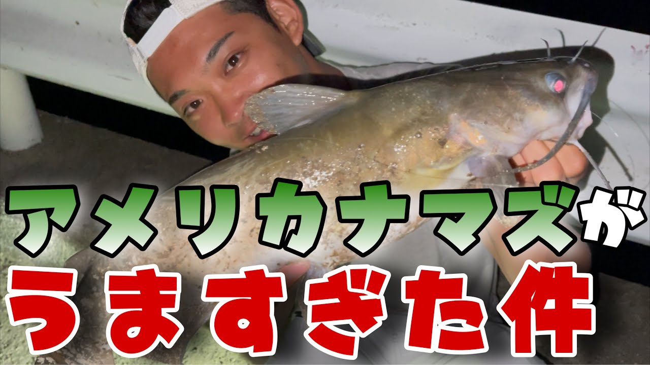 うなぎ釣りで釣れたアメリカナマズを食べたら美味すぎた件 Youtube うなぎ釣りで釣れたアメリカナマズを食べたら美味すぎた件 Youtube