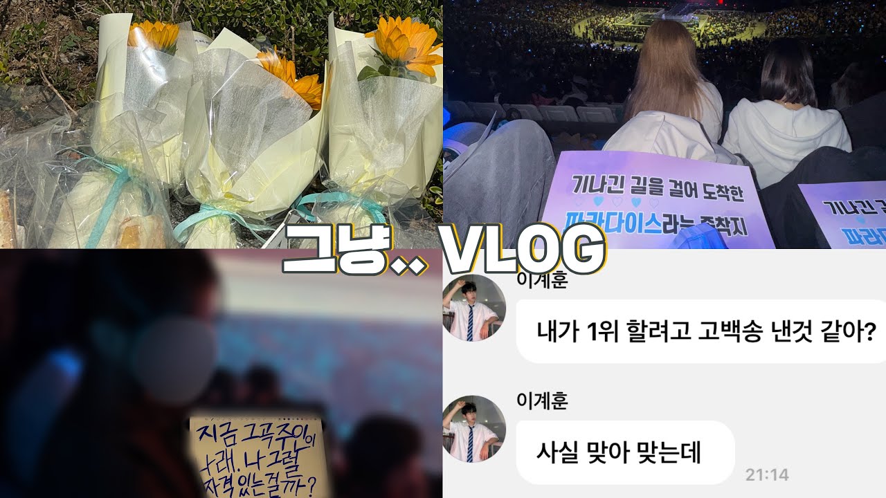 [VLOG] 킥플립 보러 갔다가 경찰서 갔다옴 | 위플립 브이로그인 줄 알았는데 트메로그