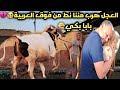 العجل هرب مننا و نط من فوق العربية بابا بكي علية يا تري حصلنا اية 