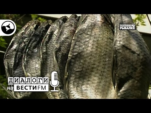 Воблу любят все | Диалоги нв Вести ФМ