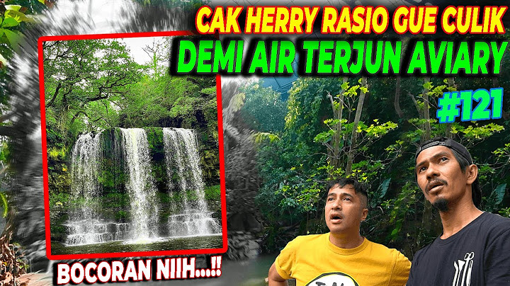 #EPS121 DEHAKIMS AVIARY | AVIARY DI SIDAK, CAK HERRY RASIO GATEL UNTUK LANJUTKAN FINISHING...