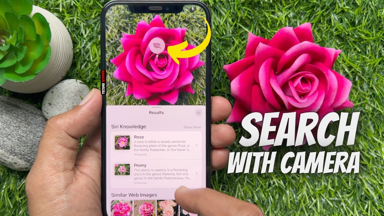 How To Identify Plants And Flowers Using Your IPhone Camera YouTube How To Identify Plants And Flowers Using Your IPhone Camera YouTube