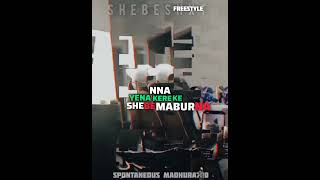 Shebe O Boile Freestyle