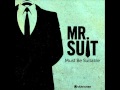 Mr suit  sommeranzug  official