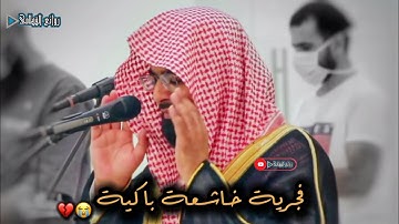 "وَيَخِرُّونَ لِلْأَذْقَانِ يَبْكُونَ" فجرية خاشعة باكية للشيخ ناصر القطامي من ختام سورة الإسراء