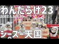 【シーズー天国】日本最大級のわんこのお祭りが最高すぎた！【わんだらけ】in名古屋