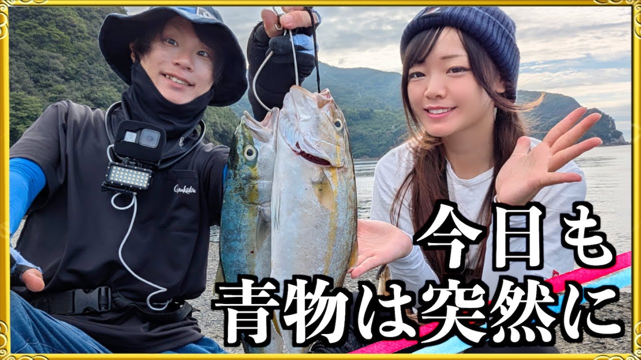 第377話【愛媛ショアジギング】どうやら今年の秋は青物が好調らしい!巻