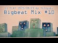 [ Bigbeat Mix 10 ] DJ PLAY 250823