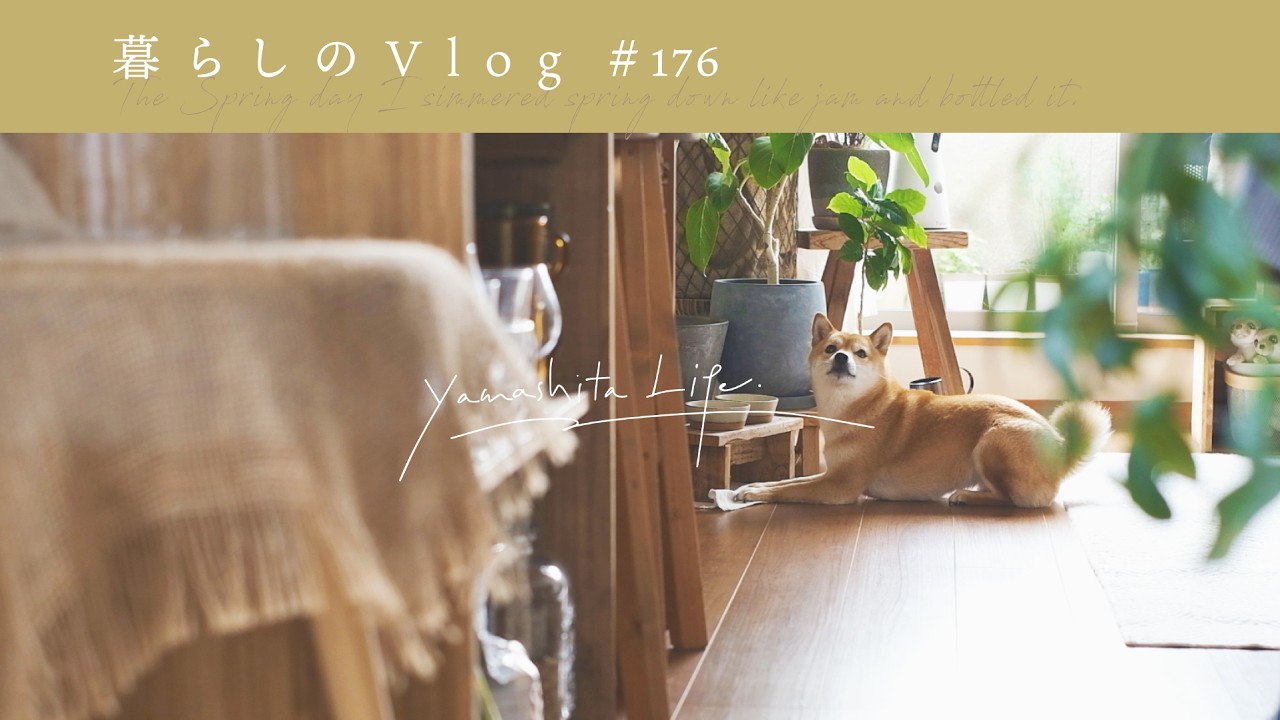 キッチンを整えて、春のおやつを作る日🍓|苺シフォンケーキとコンフィチュール。《 暮らしのVlog #176 》A Cozy Spring Day at Home!
