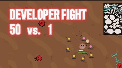 Developer Fight! 50 vs. 1 | Florr.io