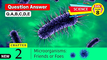 🦠Microorganisms Friends and Foes | Dav Class 8 Science Chapter 2 Question Answer | Dav Public School
