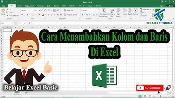 Cara Menambahkan Kolom Dan Baris Di Excel