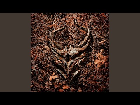 Music Video Preview