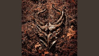 Light Bends - Demon Hunter