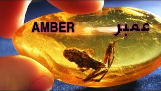 حجر العمبر كهرمان Amber stone is amber