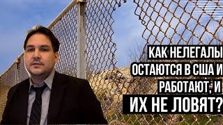 Как нелегалы остаются и работают в США, и их не ловят?