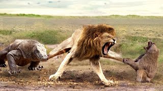 The Best Battles Of The Animal World - Harsh Life of Wild Animals, Lion, Lizard, Crocodiles, Monkey