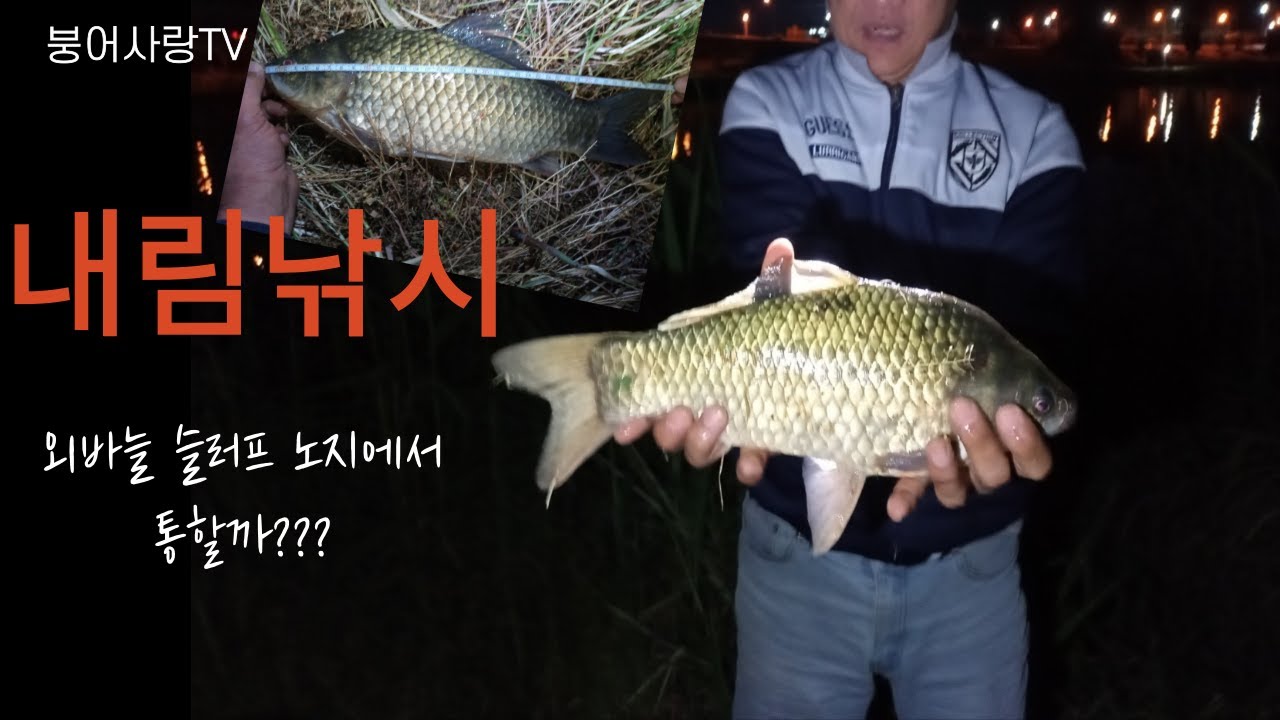 내림낚시 외바늘 슬로프 노지에서 통할까???