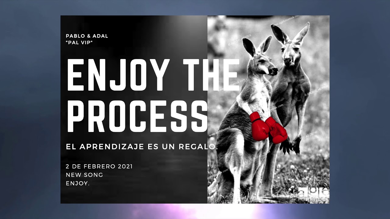 Enjoy the Process--Pal Vip. Música Electrónica 2021.