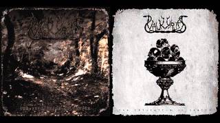 Watch Valkyrja Purification And Demise video