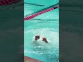 Racing the 50 Free, Fly & Back💪🏾 #swimmer #swimming #racing