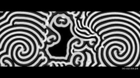 Counterpoint Delphic