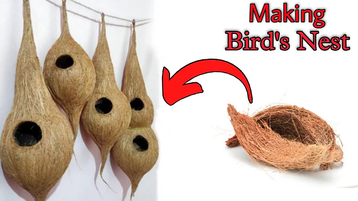 Making a bird's nest From waste material/Coconut husk Craft ideas/Garden decoration ideas