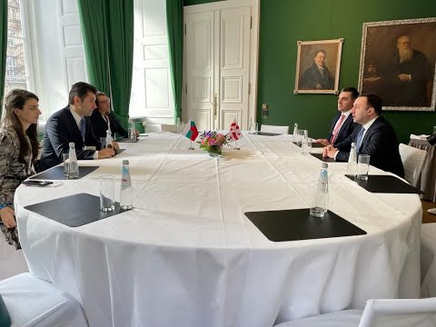 ბულგარელ კოლეგასთან შეხვედრა