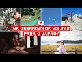 6 meses de retorno ao Japão! Estamos felizes? E o que estamos achando dessa volta? 🇯🇵