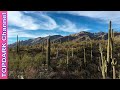 6 Desierto que Tiene Hermosos Cactus