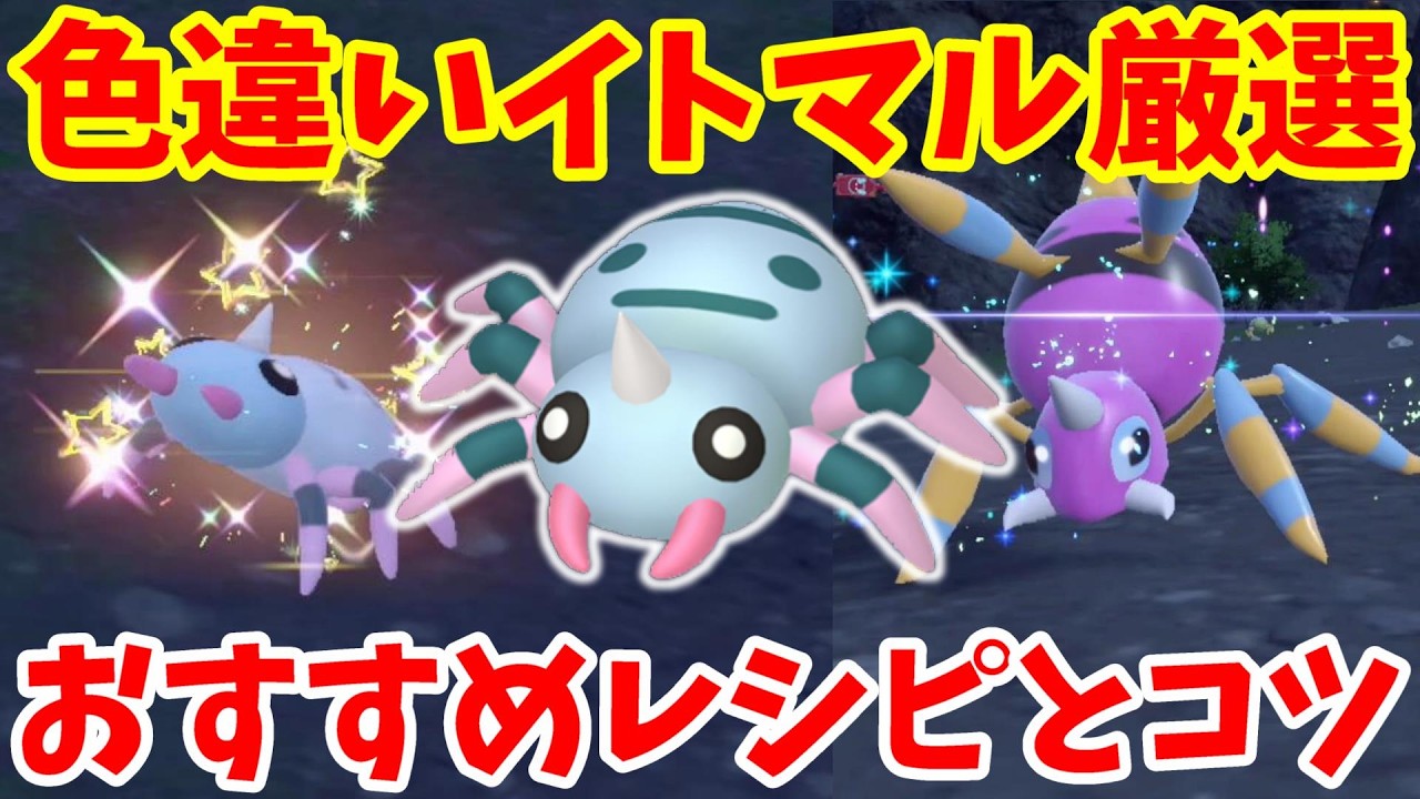 【ポケモンSV】色違いイトマル攻略のコツ！おすすめレシピと厳選の場所について - YouTube