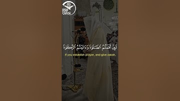 الشيخ الوليد الشمسان | تلاوة من سورة المائدة | Sheikh waleed shamsan