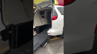 Nemt Businesses Make $1,000 A Day With This Type Of Van