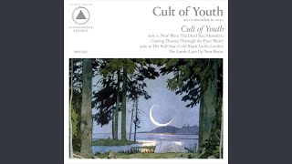Video thumbnail of "Cult Of Youth - Weary"